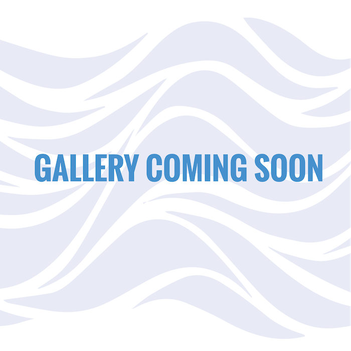 Gallery coming soon